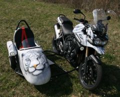 Mehr Informationen zu "Dreirad-Tiger"