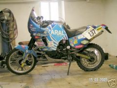 Ivo Kastans T400 Rallytiger / Dakarteilnahme