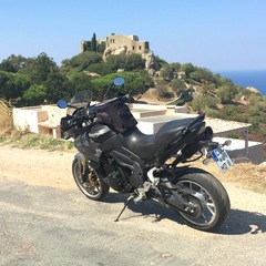 Tiger auf Korsika 2016