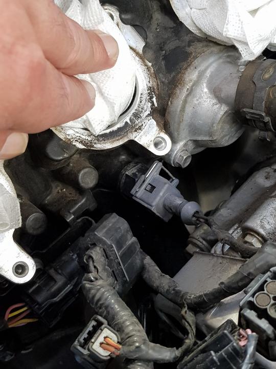 20191004_105425.jpg
