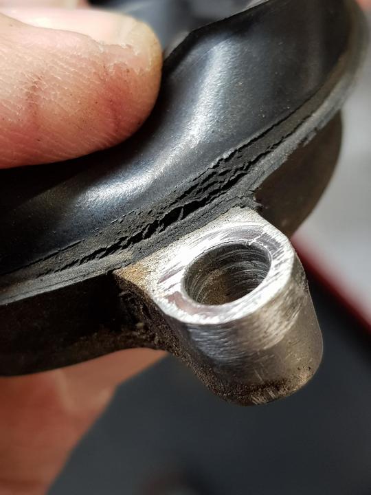 20191004_105543.jpg