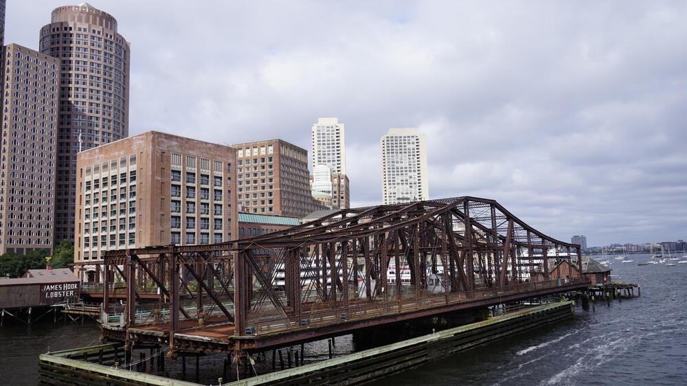 _DSC7387.JPG
