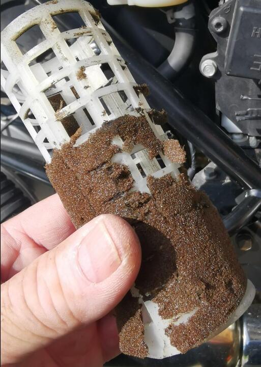 Triumph Luftfilter 2.jpg