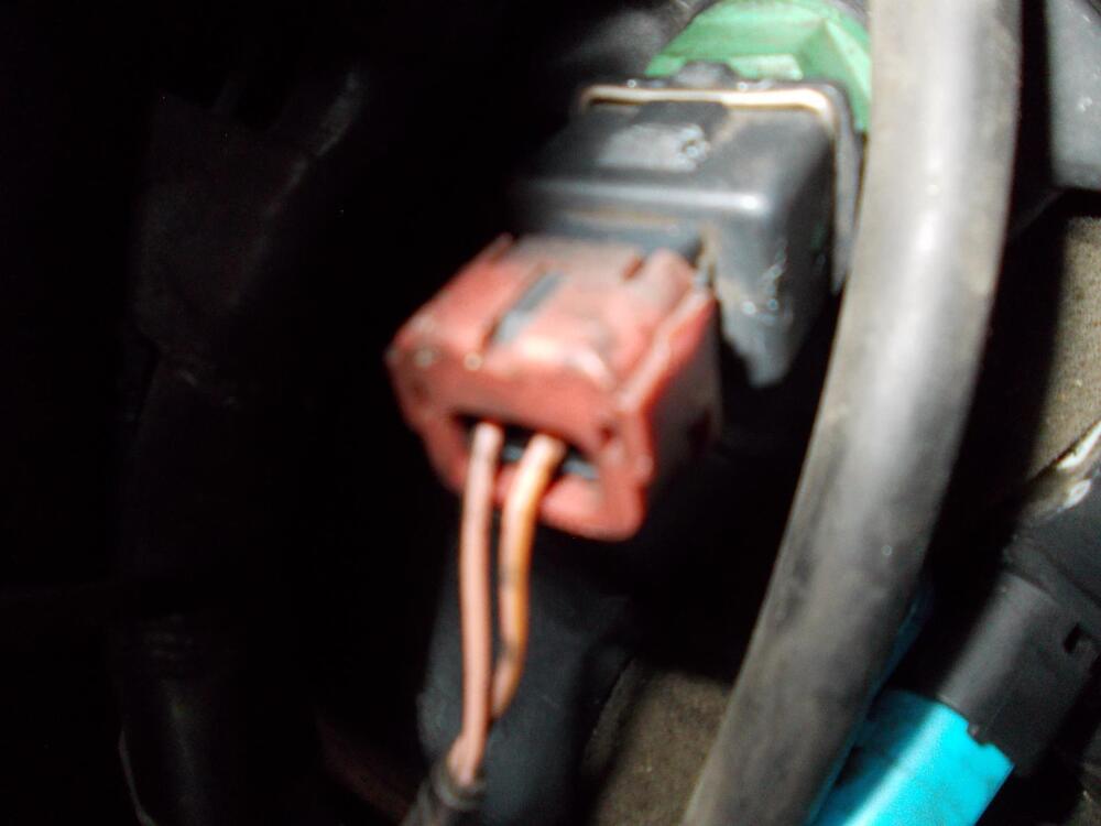 DSCN0148.thumb.JPG.5b016ed6f59e4d9f0ce2b984847f4875.JPG