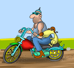 post-76-1338130800_thumb.gif
